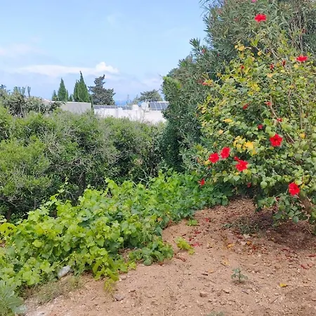 Stunning With Pool, Table Tennis, Table Soccer And A Pool Table Villa