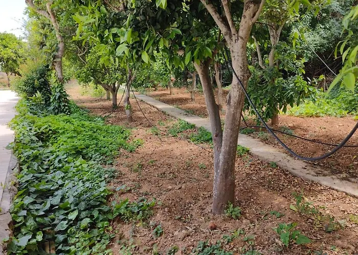 Stunning With Pool, Table Tennis, Table Soccer And A Pool Table Villa