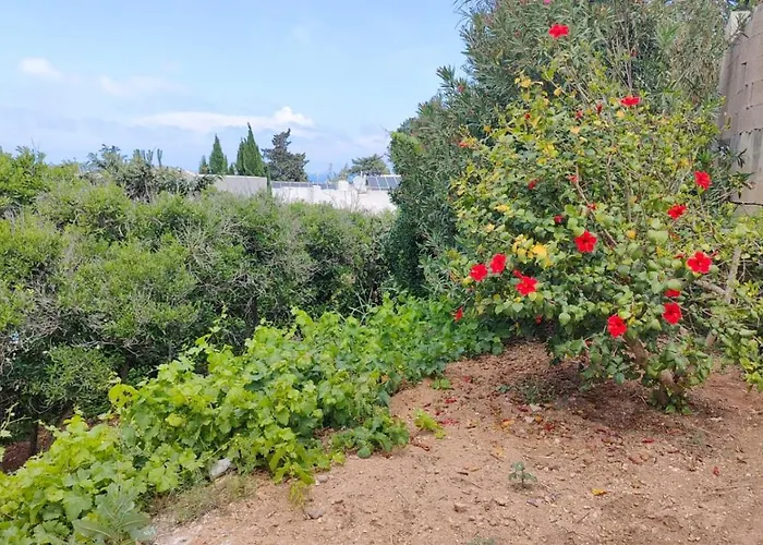 Stunning With Pool, Table Tennis, Table Soccer And A Pool Table Villa