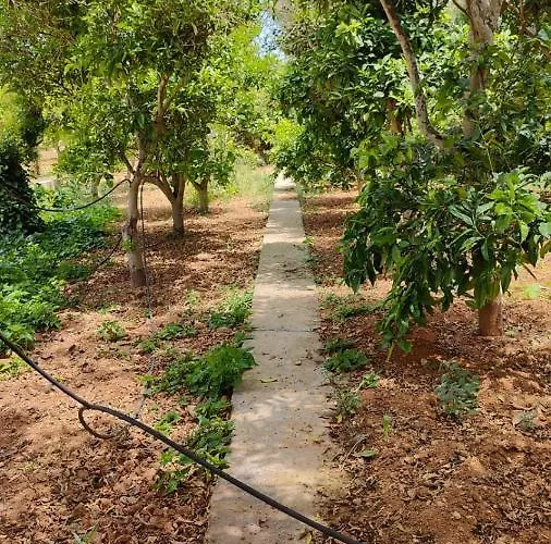 Stunning With Pool, Table Tennis, Table Soccer And A Pool Table Villa Naxxar